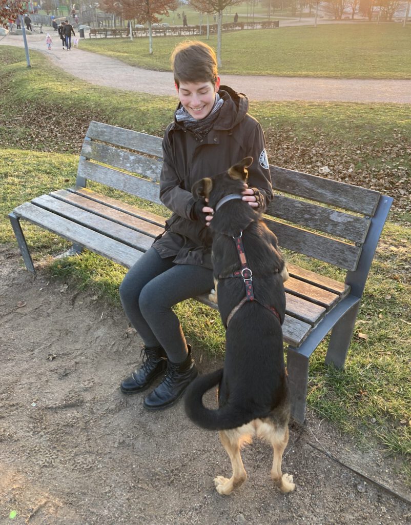Bedürnfisorientiertes Hundetraining im Park