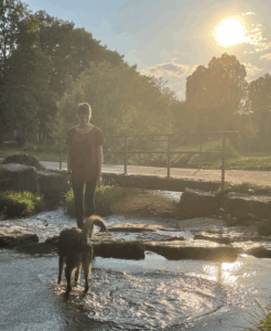 Hund im Wasser