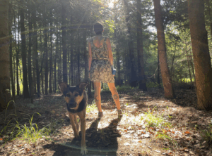 Mit dem Hund im Wald
