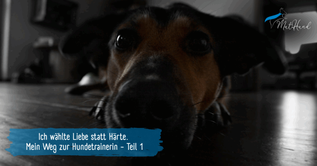 Ich wählte Liebe statt Härte. Mein Weg zur Hundetrainerin - Teil 1
