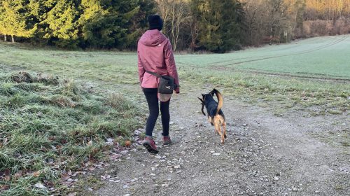 Hundetraining mit Angsthund