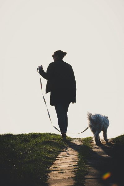 Spazieren mit Hund Gassigehen an der Hund an lockerer Leine